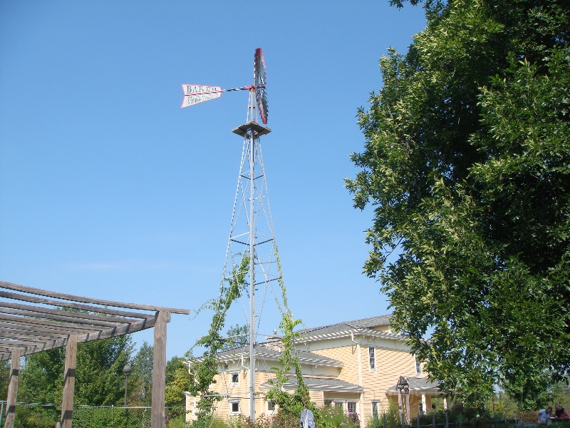 Western Michigan [2009] 335.JPG - Scenes from Frederik Meijer Gardens & Sculpture Park.